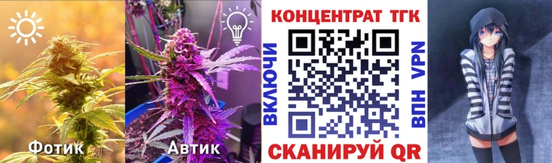KRAKEN ТОР  Томари  ТГК Wax 
