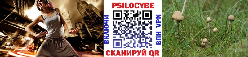 mega зеркало  Томари  Галлюциногенные грибы прущие грибы 